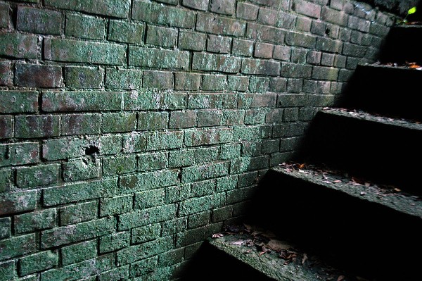 和歌山市 深山第陸砲台跡 その八-6