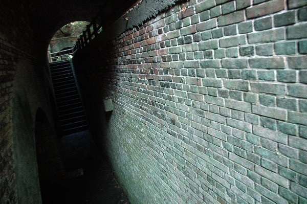 和歌山市 深山第陸砲台跡 その八-7