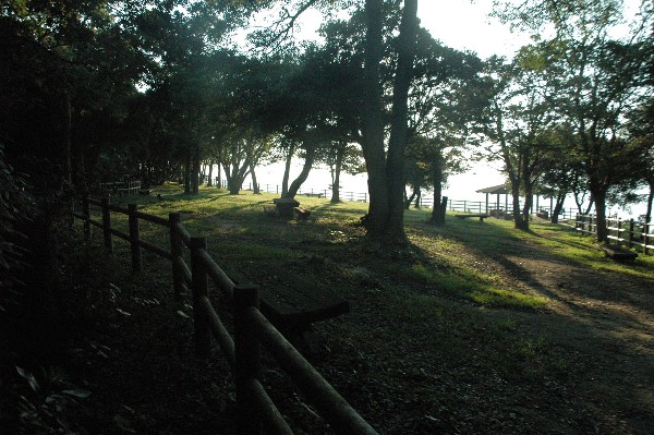 和歌山市 深山第陸砲台跡 その九-7