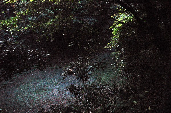 和歌山市 深山第一砲台跡 その拾 最終回-3