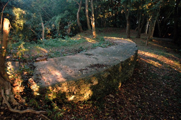 和歌山市 深山第一砲台跡 その拾 最終回-4