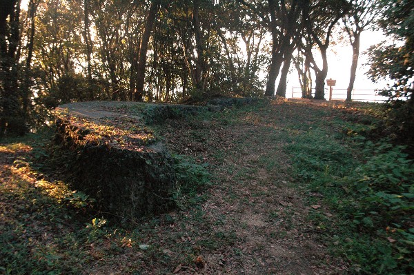 和歌山市 深山第一砲台跡 その拾 最終回-5