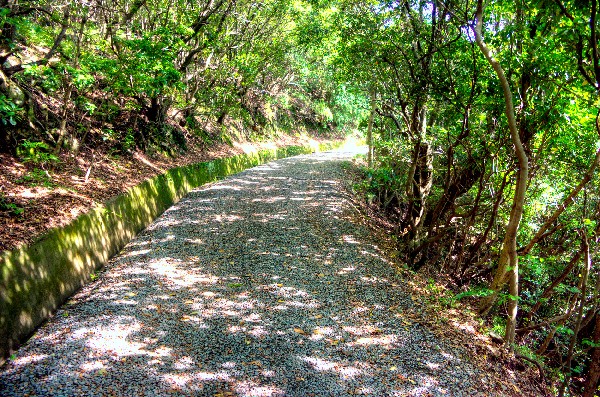 和歌山市　加太砲台跡・田倉崎砲台跡　其の参-7
