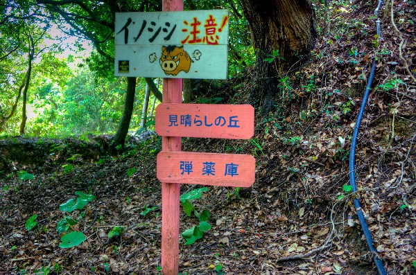 和歌山市　加太砲台跡・田倉崎砲台跡　其の四-1
