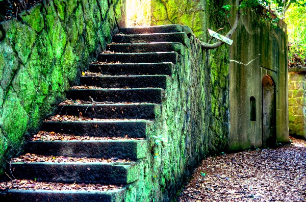 和歌山市　加太砲台跡・田倉崎砲台跡　其の四-3
