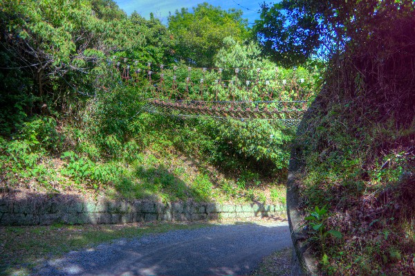 和歌山市　加太砲台跡・田倉崎砲台跡　其の四-5
