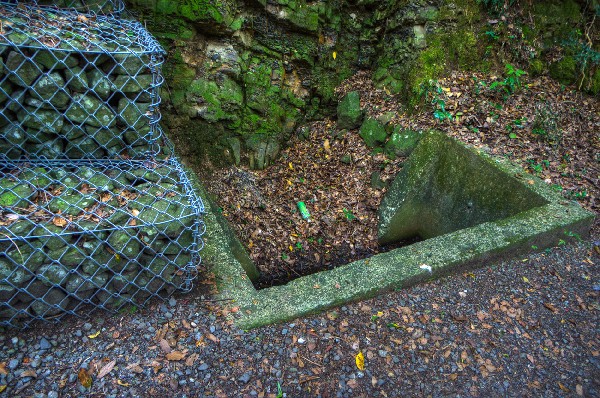 和歌山市深山第二、第三砲台跡 その弐-2