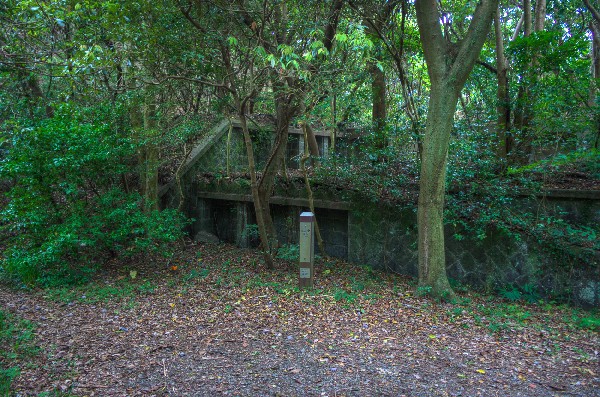 和歌山市深山第二、第三砲台跡 その弐-3