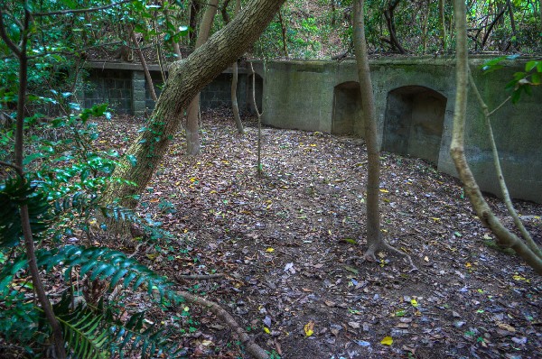 和歌山市深山第二、第三砲台跡 その弐-5