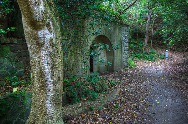 和歌山市深山第二、第三砲台跡 その弐-6