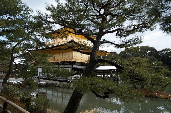 金閣寺周辺　#kinkakuji #kyoto #japan　-1
