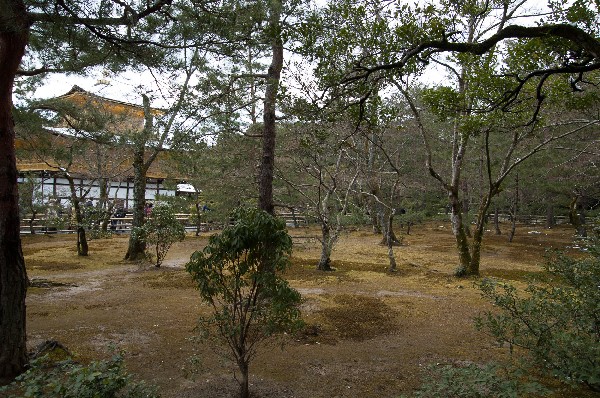 金閣寺周辺　#kinkakuji #kyoto #japan　-3
