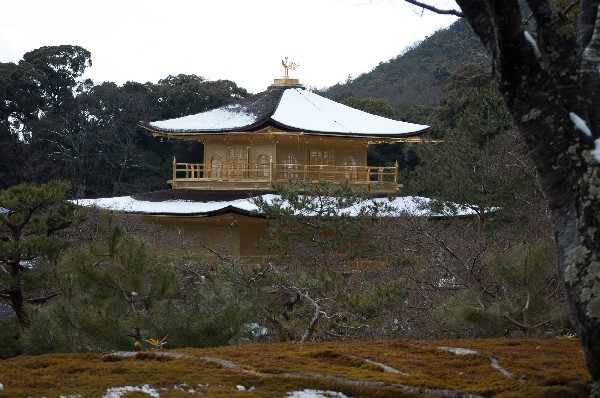 金閣寺周辺　#kinkakuji #kyoto #japan　-4

