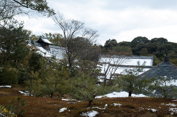 金閣寺周辺　#kinkakuji #kyoto #japan　-5
