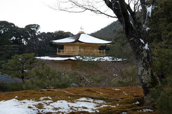 金閣寺周辺　#kinkakuji #kyoto #japan　-6
