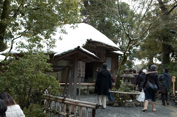 金閣寺周辺　#kinkakuji #kyoto #japan　-1
