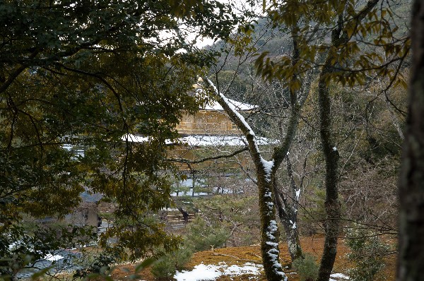 金閣寺周辺　#kinkakuji #kyoto #japan　-3
