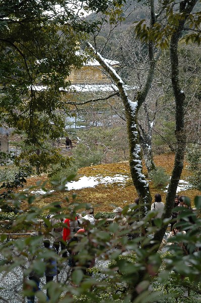 金閣寺周辺　#kinkakuji #kyoto #japan　-4
