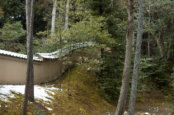 金閣寺周辺　#kinkakuji #kyoto #japan　-8
