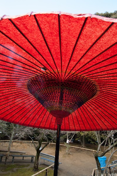 金閣寺を離れ鉄道に-6
