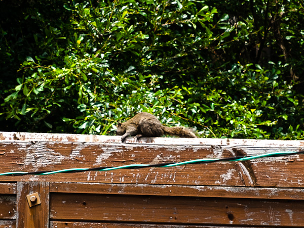 友ヶ島 その弐 最初の建物-8