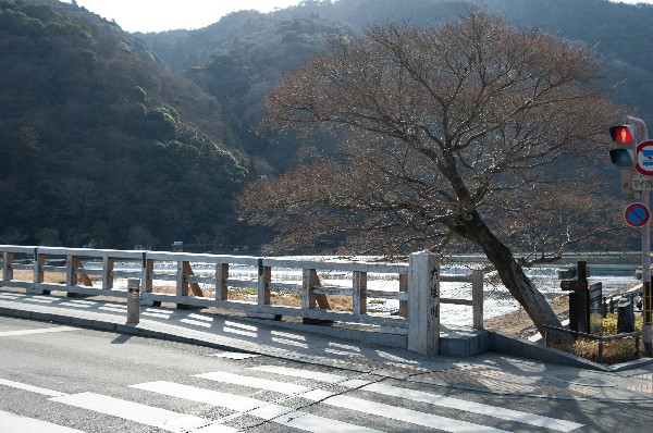 嵐山周辺　#Arashiyama #Kyoto #japan-2
