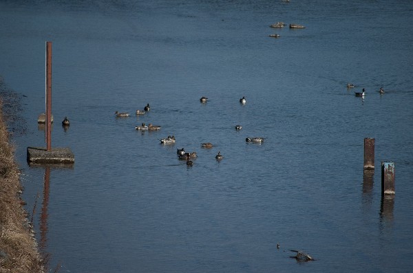 嵐山周辺　#Arashiyama #Kyoto #japan-8
