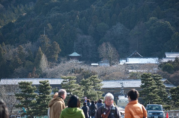 京都　嵐山　周辺　#arashiyama #kyoto #japan　-1
