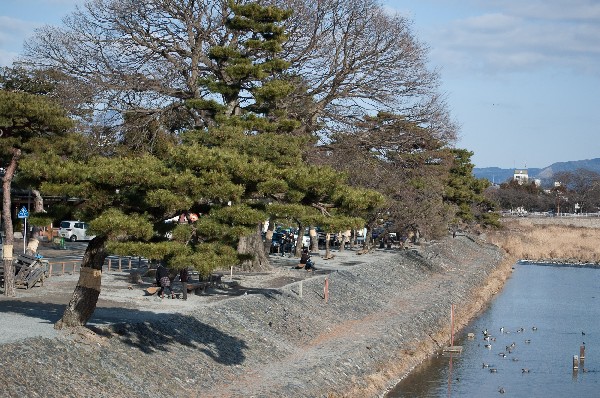 京都　嵐山　周辺　#arashiyama #kyoto #japan　-3
