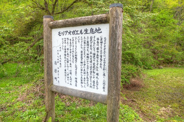 湯原温泉 ロープウェイ山頂駅 その一-5