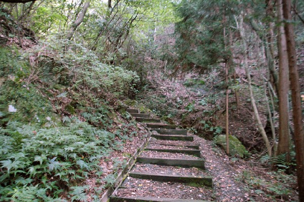 熊取町 雨山城跡 其の壱-3