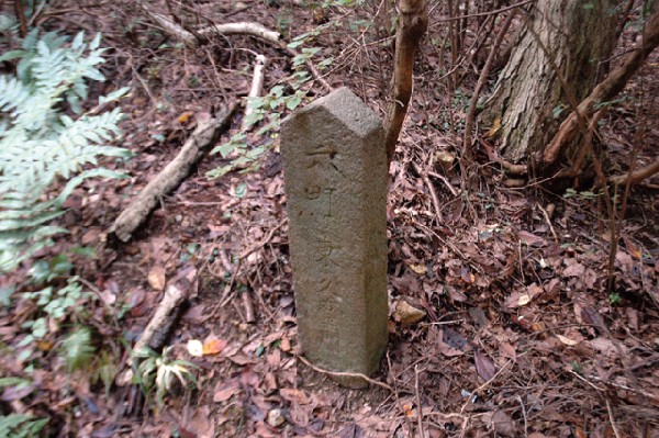 熊取町 雨山城跡 其の壱-4