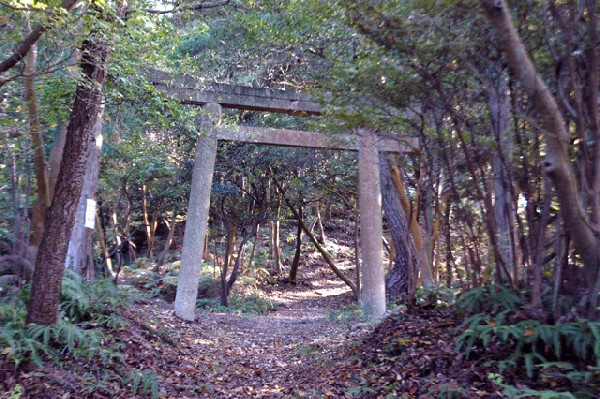 熊取町 雨山城跡 其の壱-5