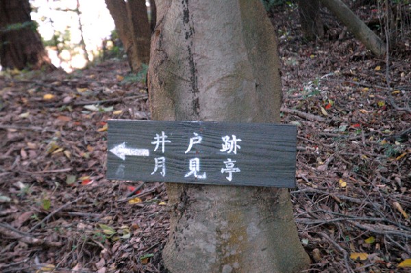 熊取町 雨山城跡 其の壱-6