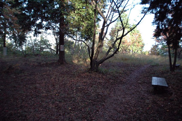 熊取町 雨山城跡 其の壱-7
