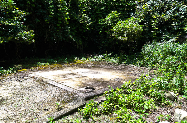 友ヶ島 其の参 弾薬庫跡-4