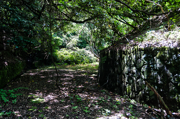 友ヶ島 其の参 弾薬庫跡-5