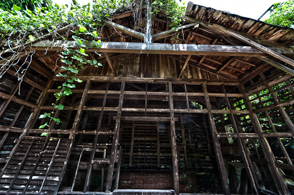 友ヶ島 其の参 弾薬庫跡-8