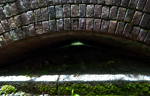 友ヶ島 其の四 弾薬庫跡~第五砲台-1