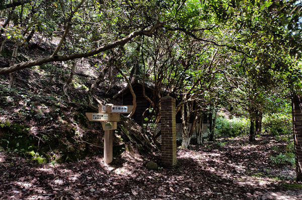友ヶ島 其の四 弾薬庫跡~第五砲台-3