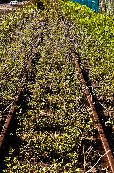 和歌浦探索 其の壱-2