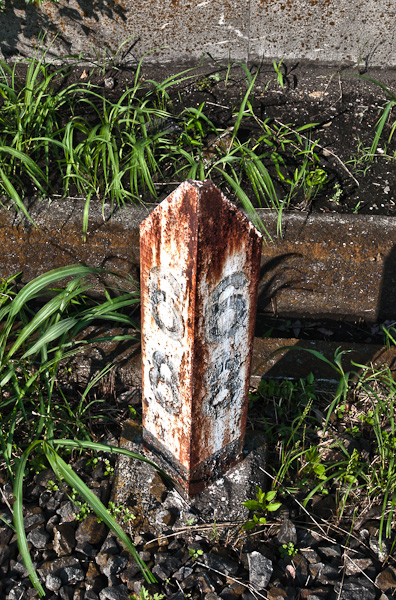 和歌浦探索 其の壱-4