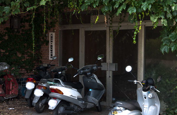 和歌浦探索　其の弐-5