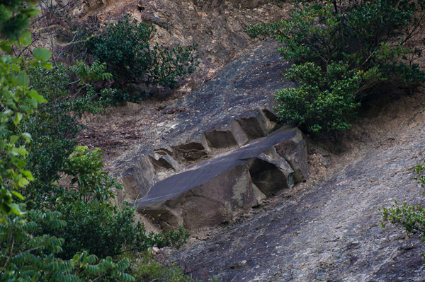 岬町の崖にある階段状のもの-1
