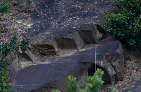 岬町の崖にある階段状のもの-2