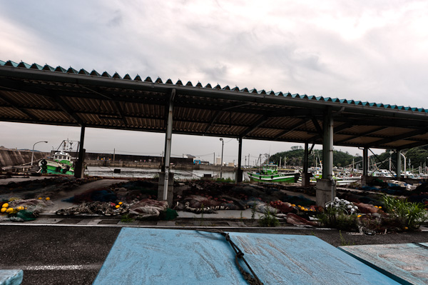 和歌浦探索　其の四　遊歩道-1