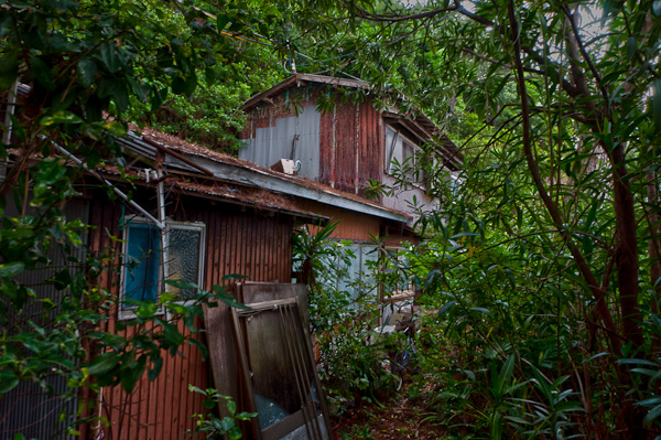 和歌浦探索　其の四　遊歩道-5
