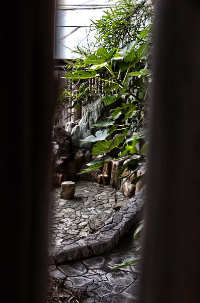 和歌浦探索　其の四　遊歩道-8