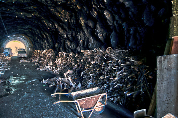 和歌浦探索　其の八　大型廃墟へ-3