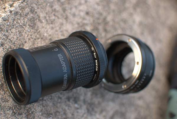 NEX-5でデジスコ-5